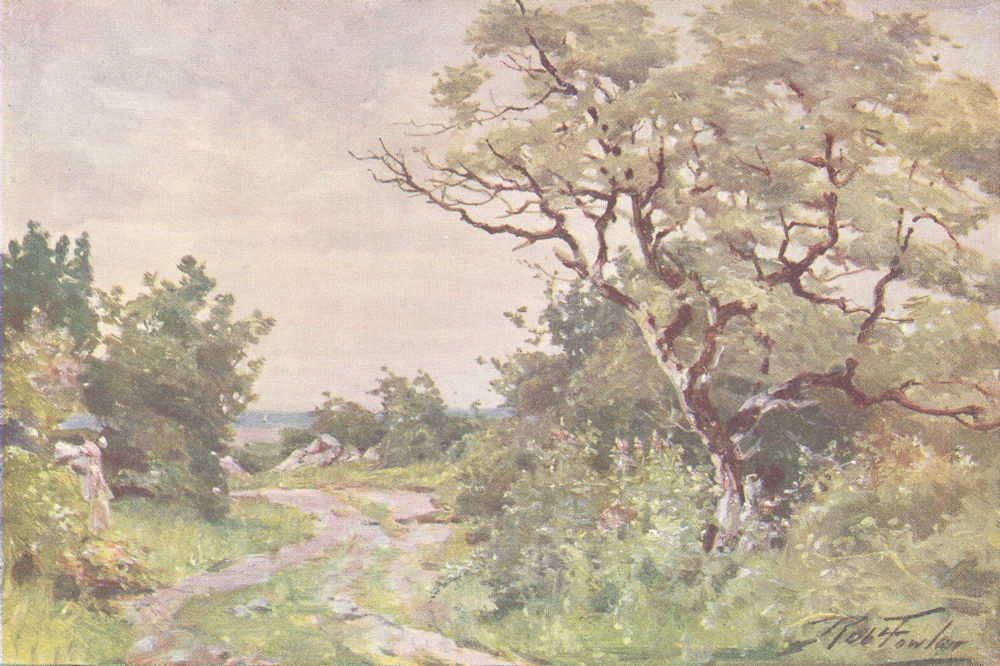 WALES. Field Path, near Llanrug 1905 old antique vintage print picture