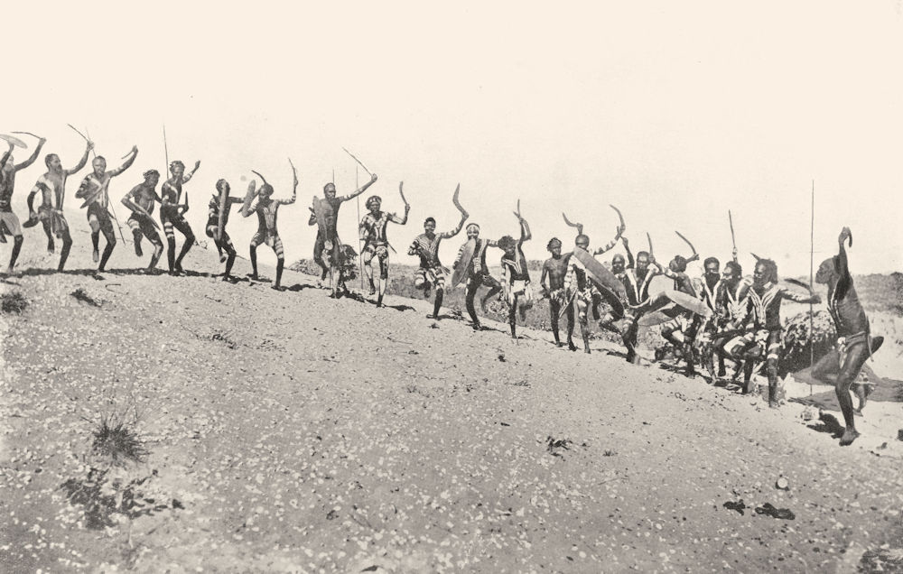 AUSTRALIA. War Dance-Kimberley district; shields boomerangs spears 1900 print