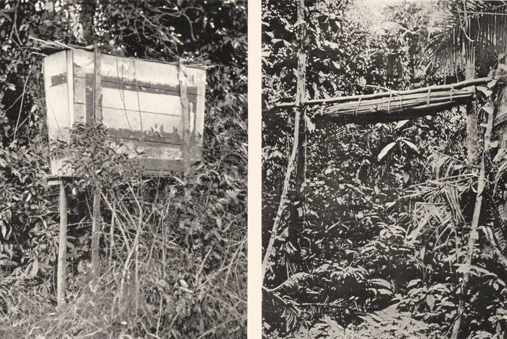 Associate Product MALAYSIA. Malay Peninsula. Bizarre forms Burial-Aerial Coffins tree graves; 1900
