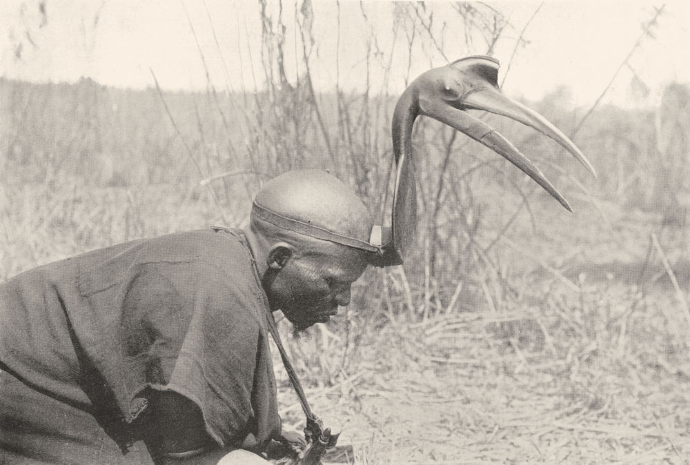 NIGERIA. A Northern Nigerian Hunter; stalking game. Nupe hornbill 1900 print