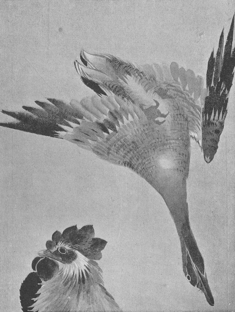 JAPAN. Goose and Cock's head. Studies by Hokusai 1890 old antique print