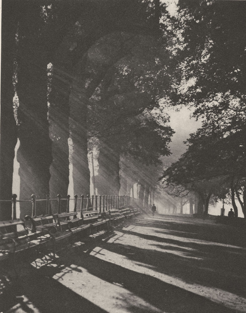 Associate Product LONDON. Early morning shadows along the Terrace at Richmond 1926 old print