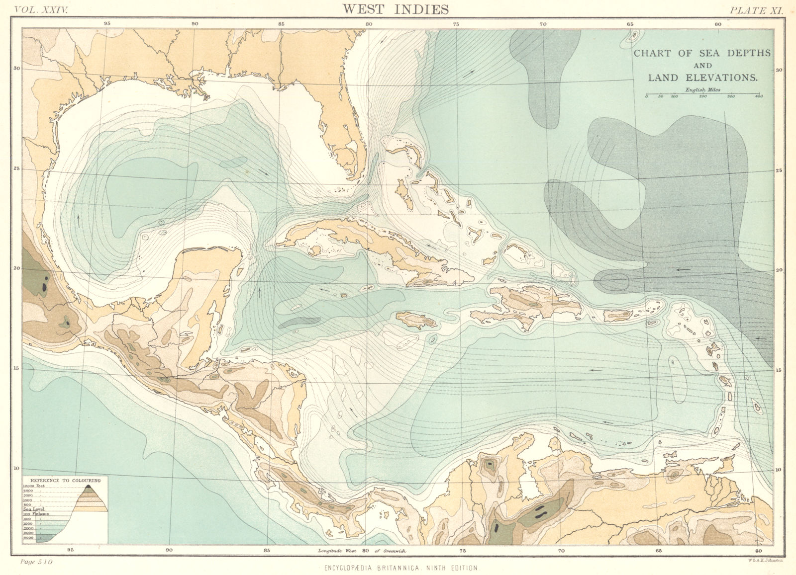CARIBBEAN. West Indies; Chart of sea depths, land elevations & currents 1898 map