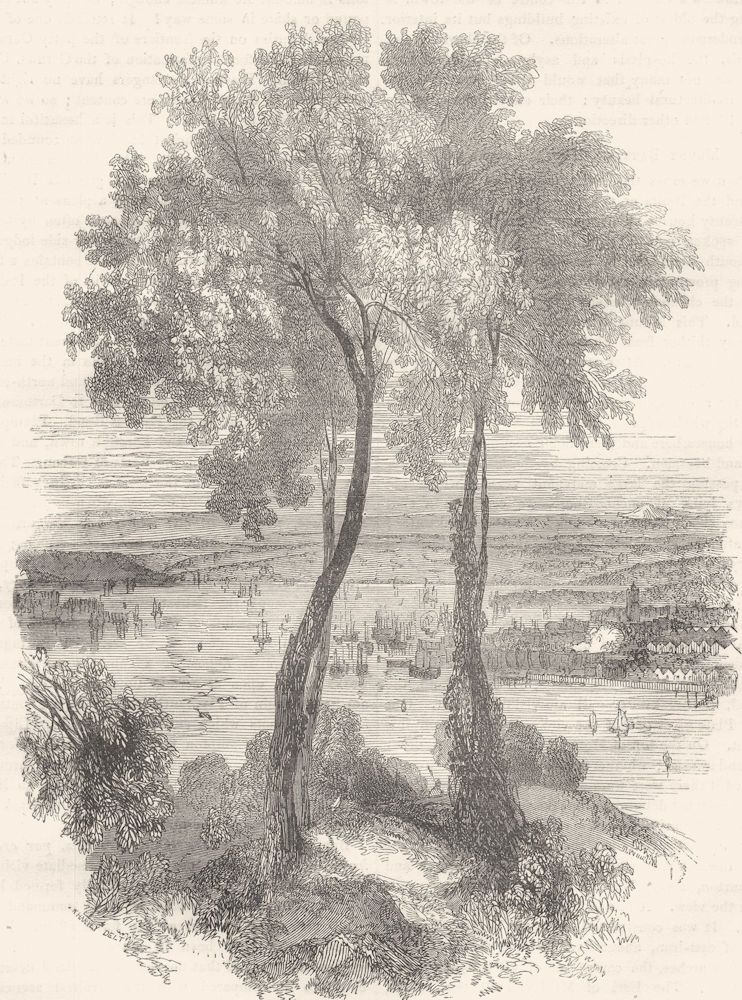 DEVON. Devonport, from Mount Edgcumbe 1850 old antique vintage print picture