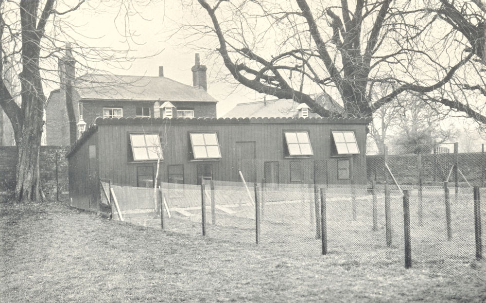POULTRY FARMING. Chicken Rearing; Winter Brooder House at Theale, Berks 1912