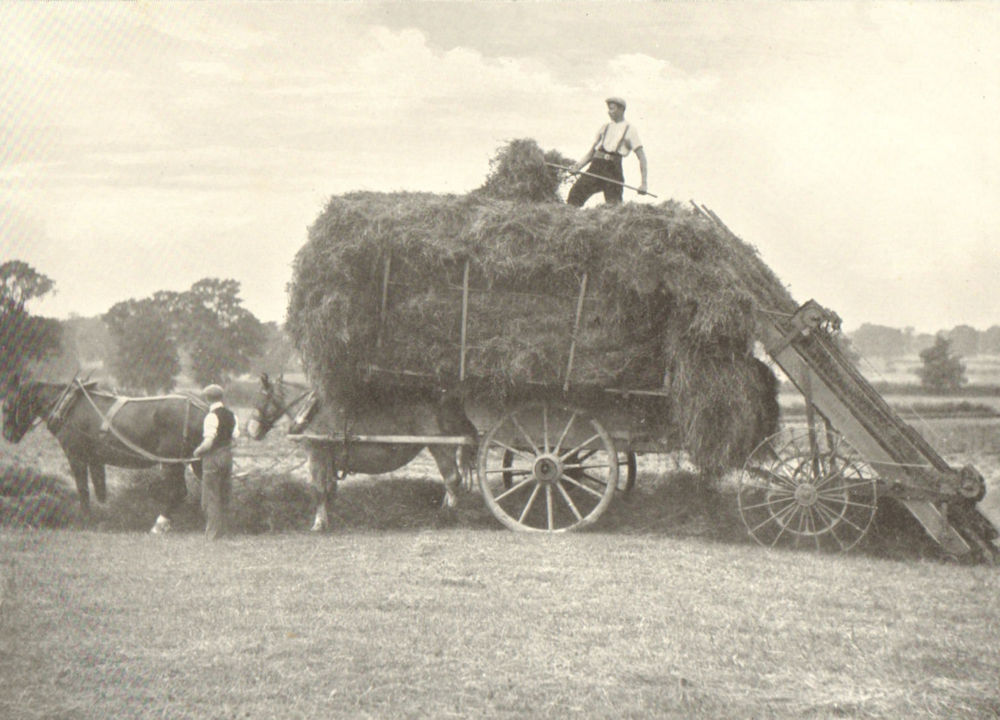 FARMING.Haymaking Machinery – II;Hay Loader Operation;Finish(9 minutes) 1912