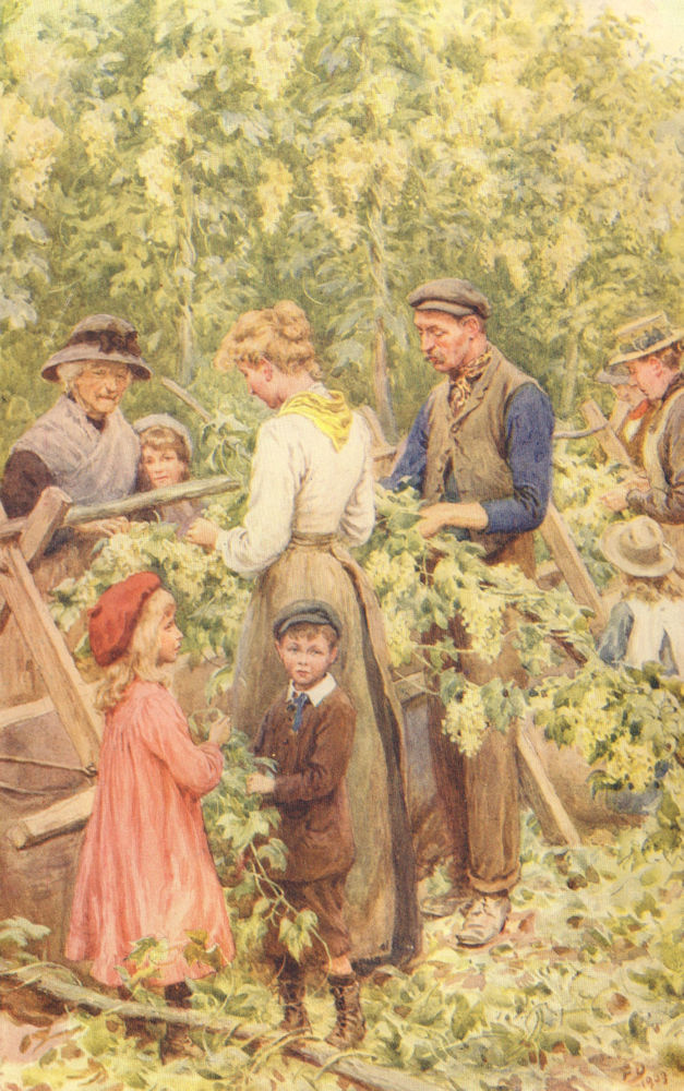 Associate Product KENT. A Kentish Hop Garden. Family. Children. 1912 old antique print picture