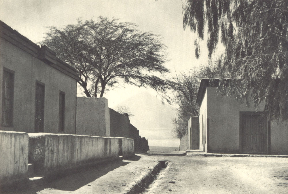 Associate Product CHILE. San Pedro de Atacama. Un rincón de la Plaza. Corner of the Plaza 1932