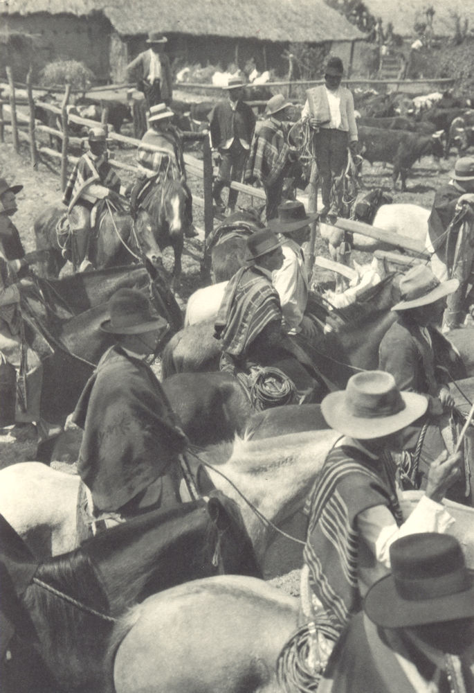 Associate Product CHILE. Valdivia del Paine. Público que asiste al rodeo. The rodeo 1932 print