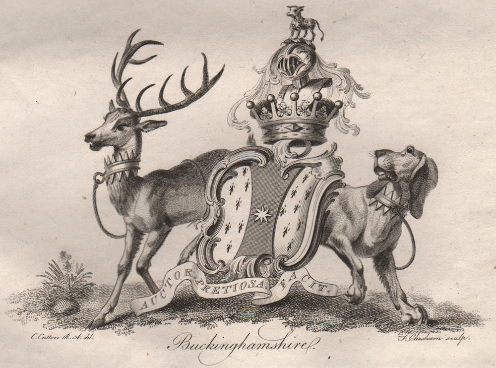 BUCKINGHAMSHIRE. Coat of Arms. Heraldry 1790 old antique vintage print picture
