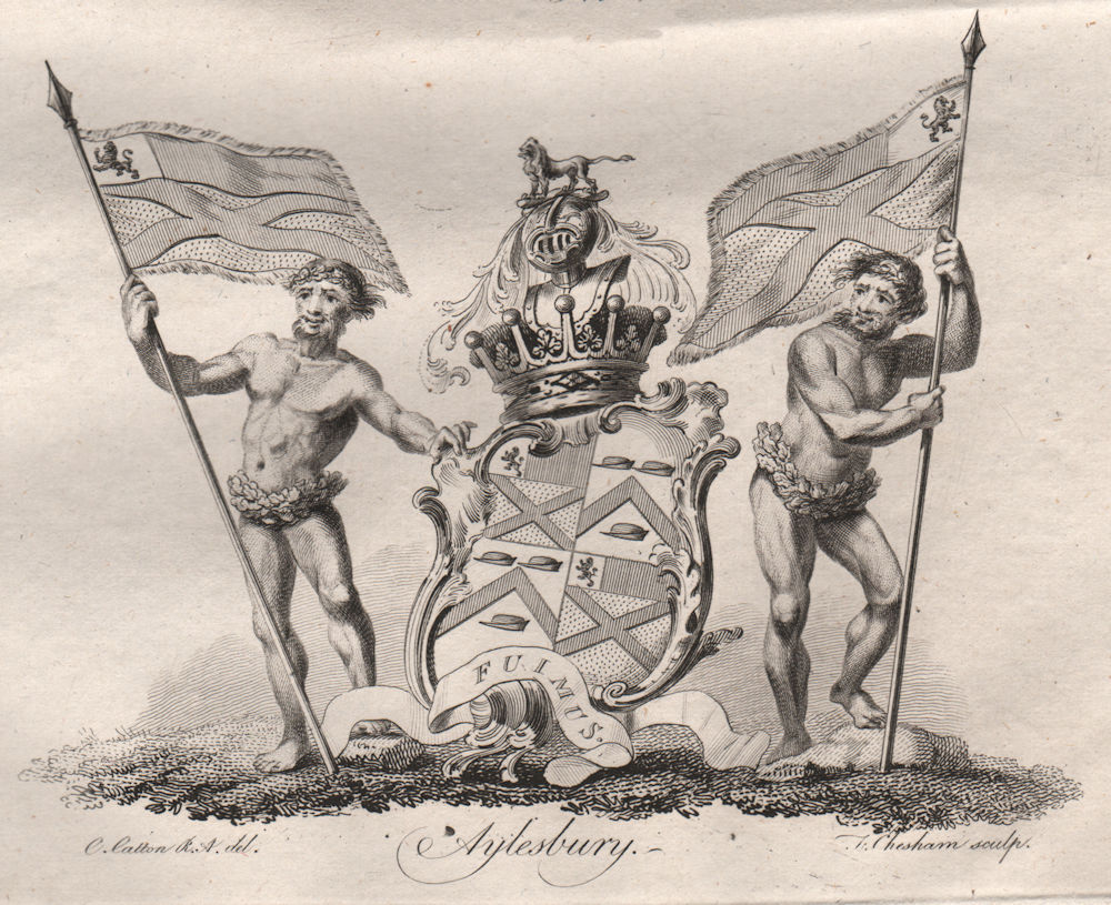 AYLESBURY. Coat of Arms. Heraldry 1790 old antique vintage print picture