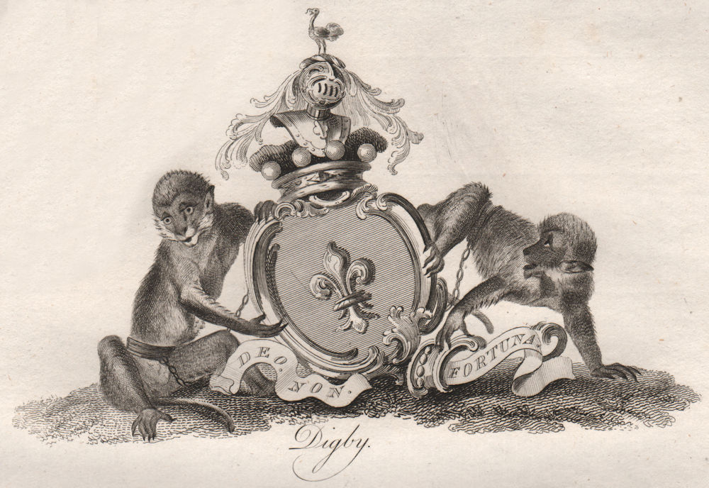 DIGBY. Coat of Arms. Heraldry 1790 old antique vintage print picture