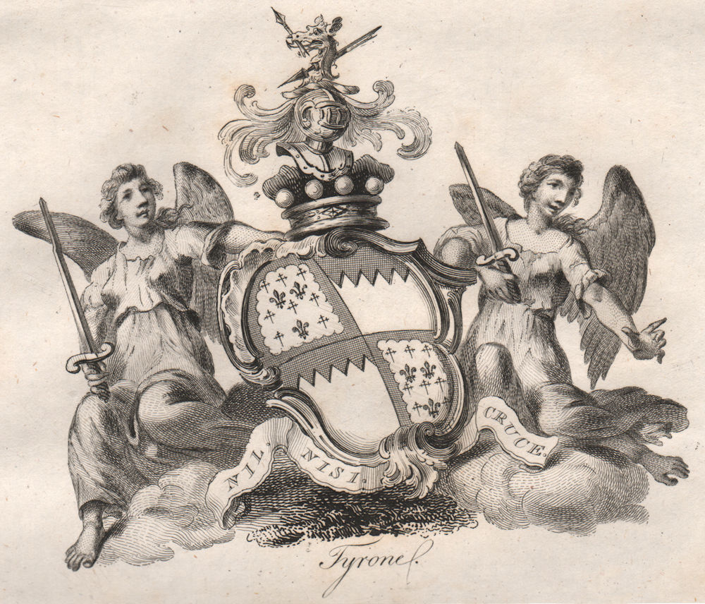 TYRONE. Coat of Arms. Heraldry 1790 old antique vintage print picture