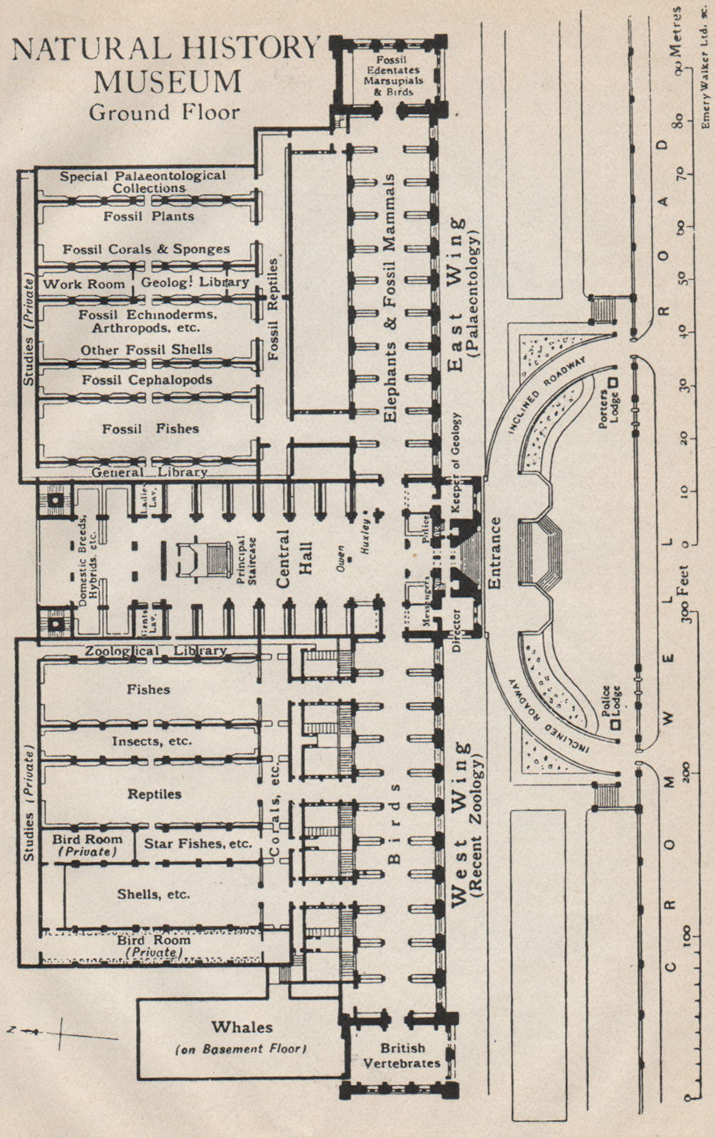 Associate Product NATURAL HISTORY MUSEUM. Ground floor vintage plan. South Kensington 1927 map