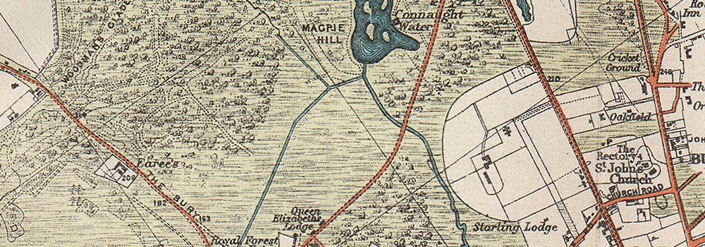 EPPING FOREST SOUTH. Chingford Hatch. Buckhurst Hill. Vintage map ...