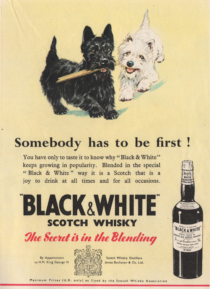 WHISKY ADVERT. Black & White Scotch Whisky 1951 old vintage print picture