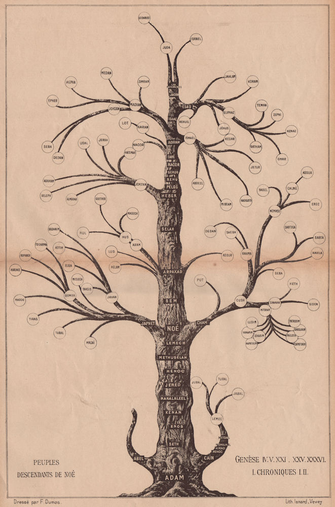 DESCENDANTS OF NOAH. Tree. Bible. Genesis Chronicles 1887 old antique print