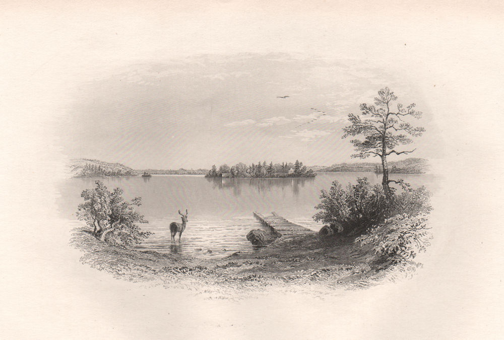 Billington Sea, PLYMOUTH, Massachusetts. Pilgrim fathers. BARTLETT 1854 print