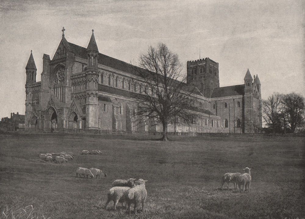Associate Product St. Albans Abbey, from The South-West. Hertfordshire. Churches 1896 old print