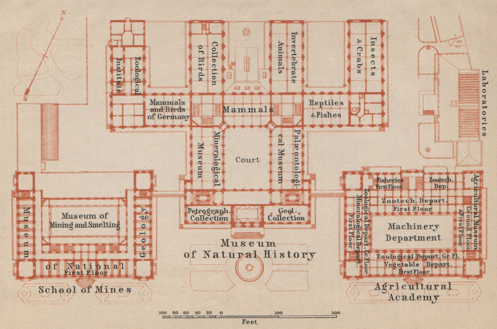 Natural History MUSEUM für NATURKUNDE, Berlin. Floor plan karte 1910 old map