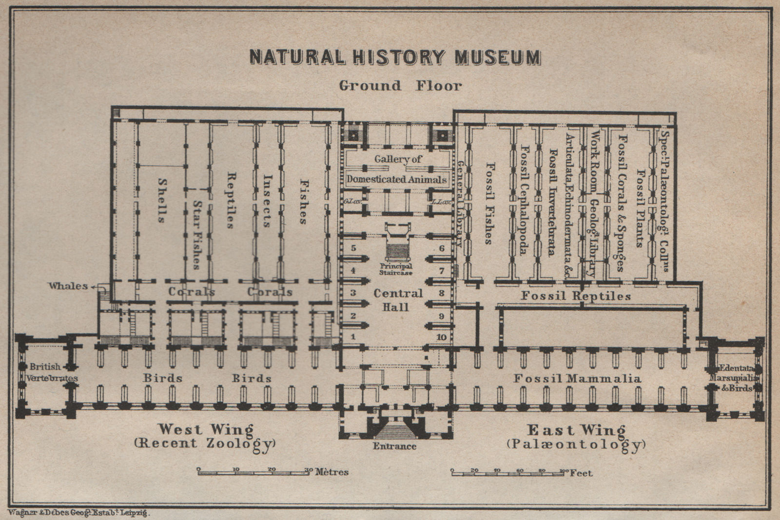 NATURAL HISTORY MUSEUM ground floor plan. South Kensington, London 1930 map