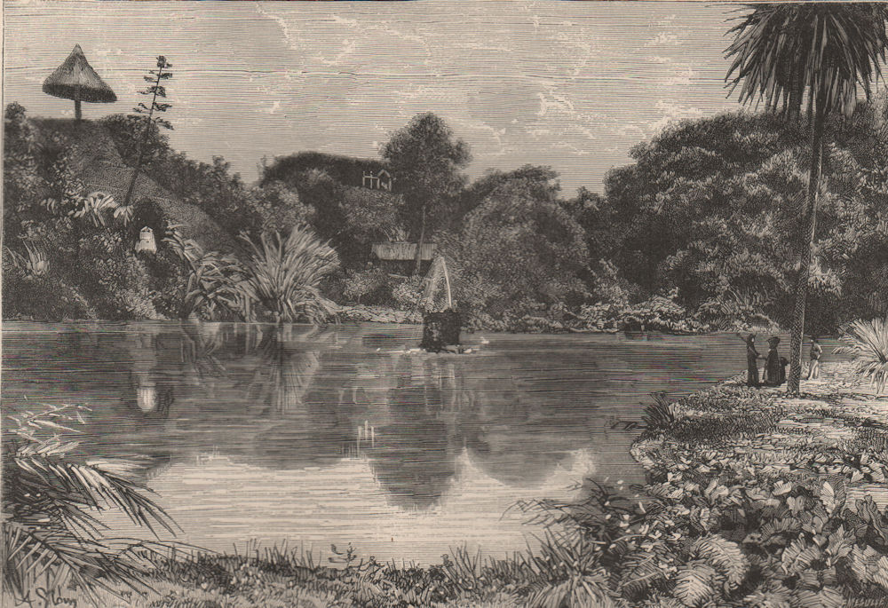 Associate Product Sao Miguel island. - View in a garden near Ponta-Delgada. Azores 1885 print