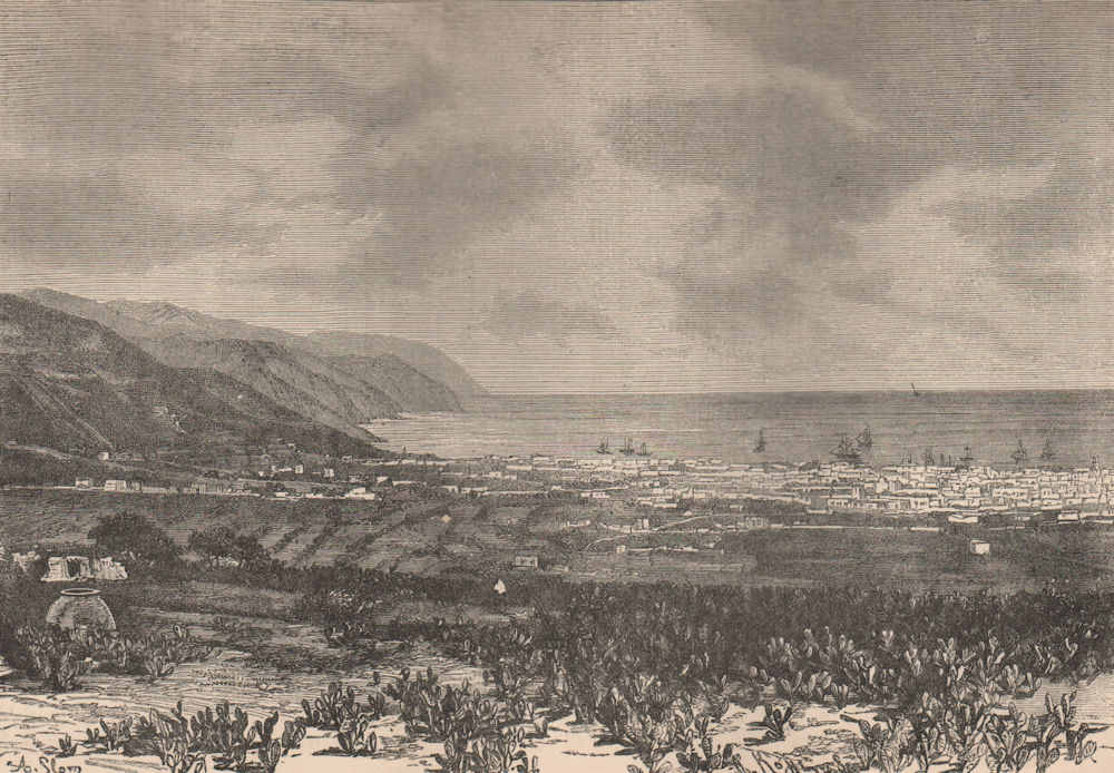 General view of Santa Cruz de Tenerife. Canary Islands. Spain 1885 old print