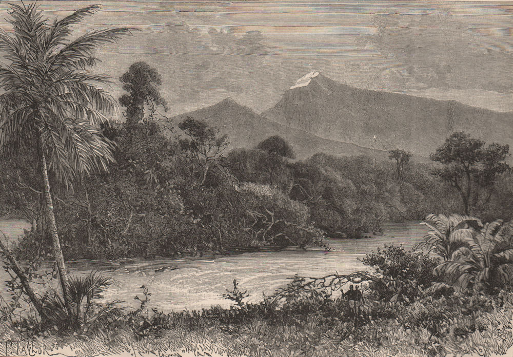 View taken at the foot of the Cameroon Mountains 1885 old antique print
