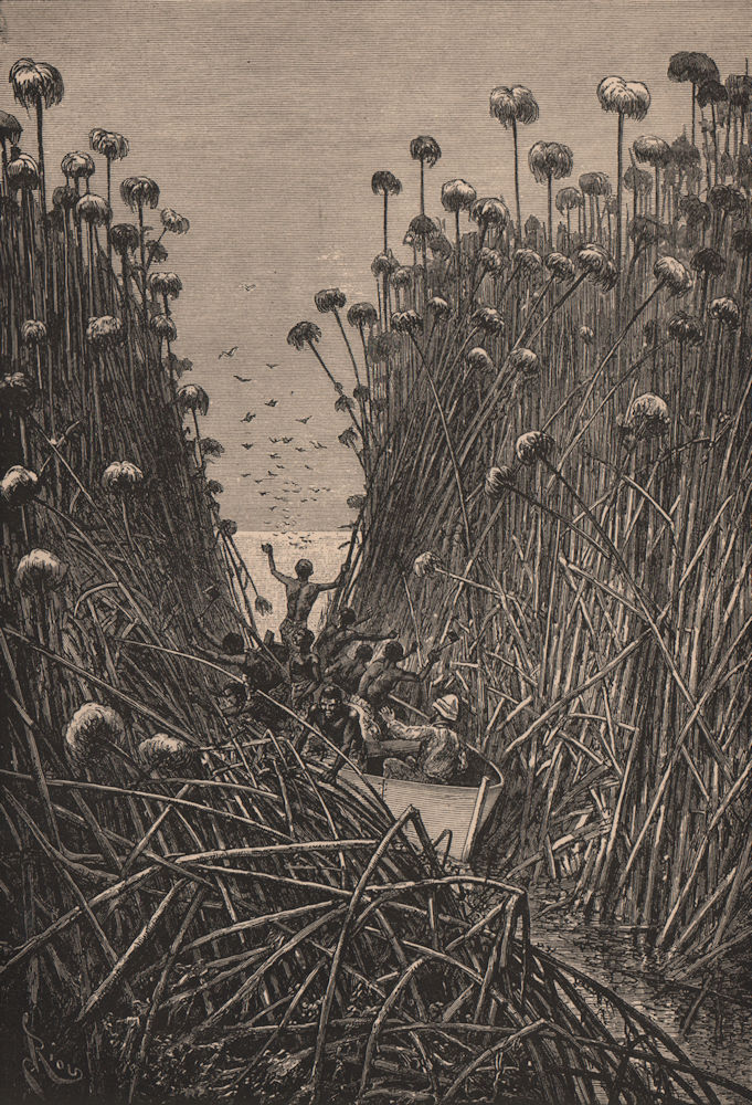 Giraud amid the reeds of Lake Bangweulu. Zambia. Congo Basin 1885 old print