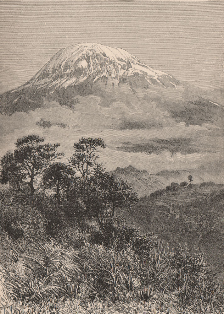 Kibo, Western Peak of Kilimanjaro. Tanzania. Maasai Land 1885 old print