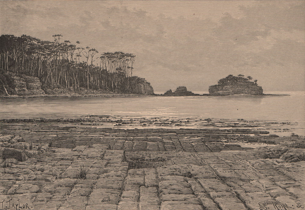 View taken at Tasman Peninsula. Australia 1885 old antique print picture