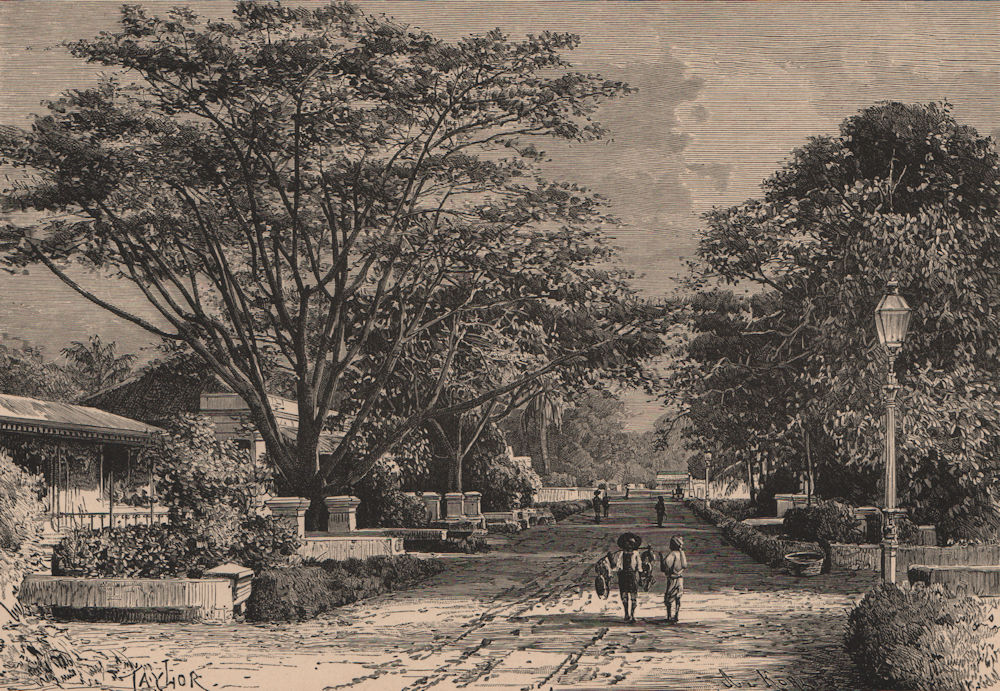 Street view in Batavia (Jakarta) . Java, Indonesia. East Indies 1885 old print