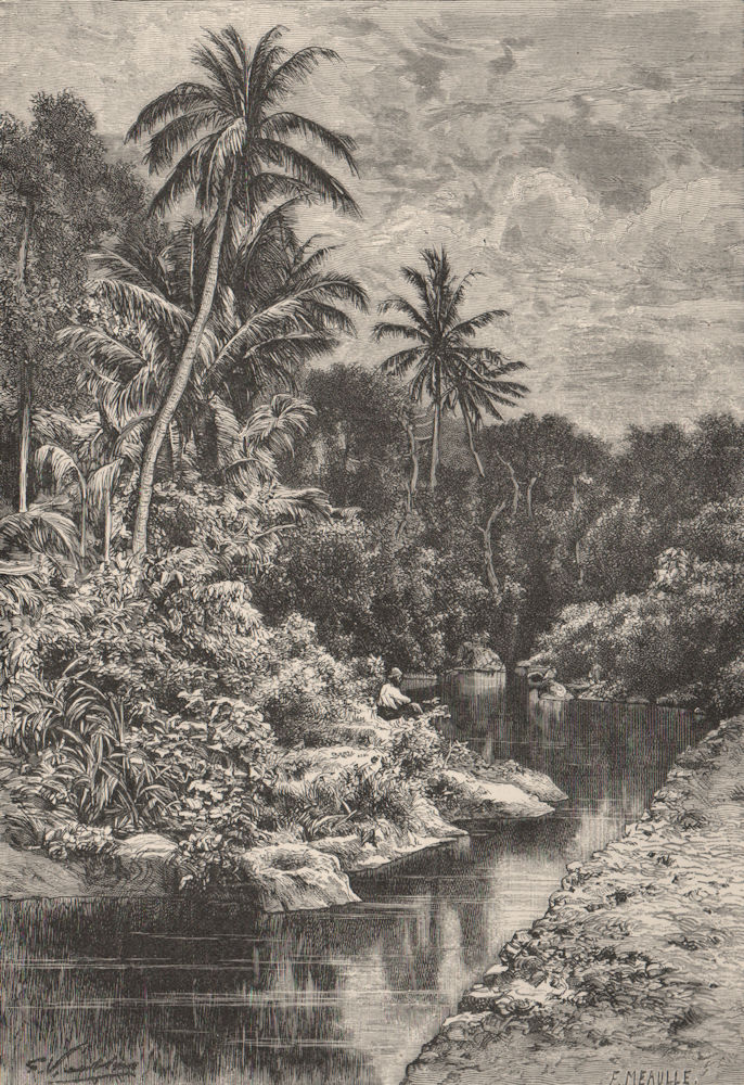 View taken in a forest near Kupang, Timor. Indonesia. East Indies 1885 print