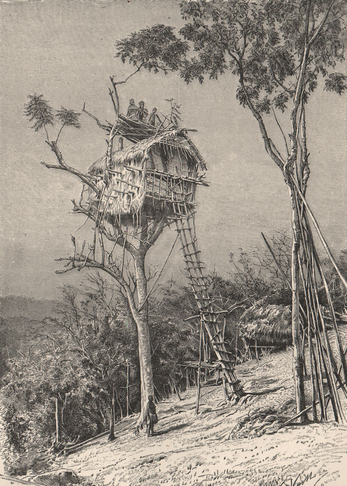 Koyari dwelling, near Port Moresby, Papua New Guinea. Papuasia 1885 old print