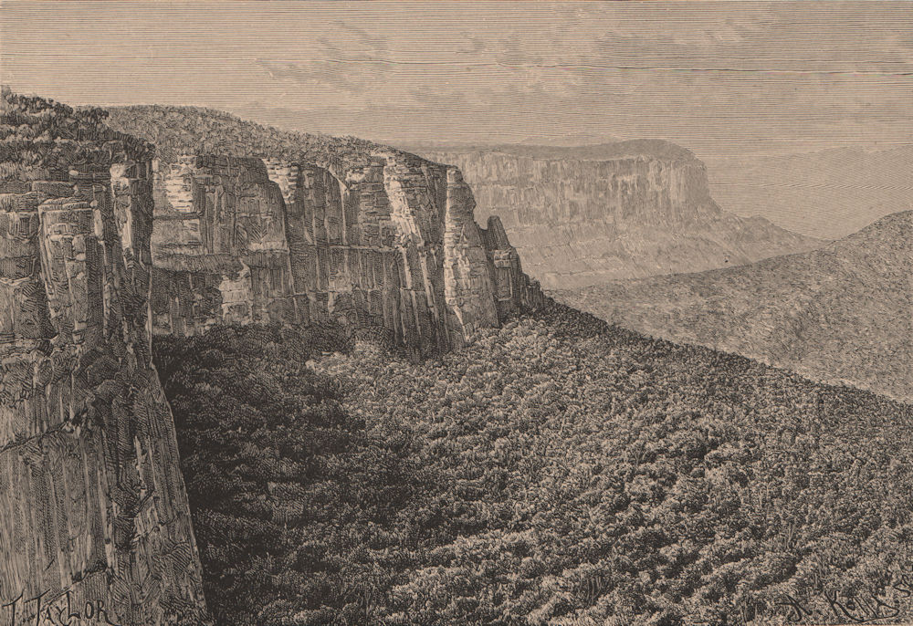 View taken in the Blue Mountains, Australia 1885 old antique print picture