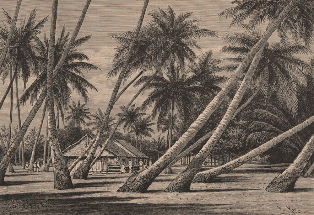 Associate Product Landscape in the Tuamotu Archipelago. French Polynesia 1885 old antique print