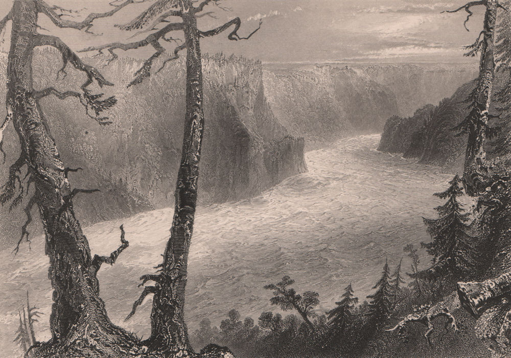 Associate Product CANADA. Banks of the River Niagara'. Niagara Gorge. Ontario/NY. BARTLETT 1842