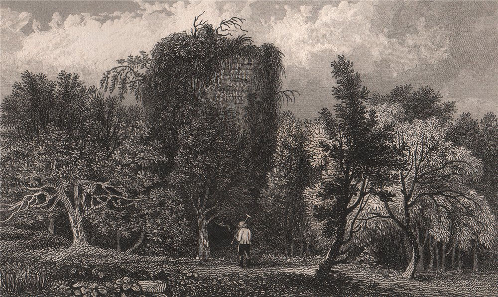 Rosamond s Tower At Westenhanger Castle Near Hythe Kent SHEPHERD 1829