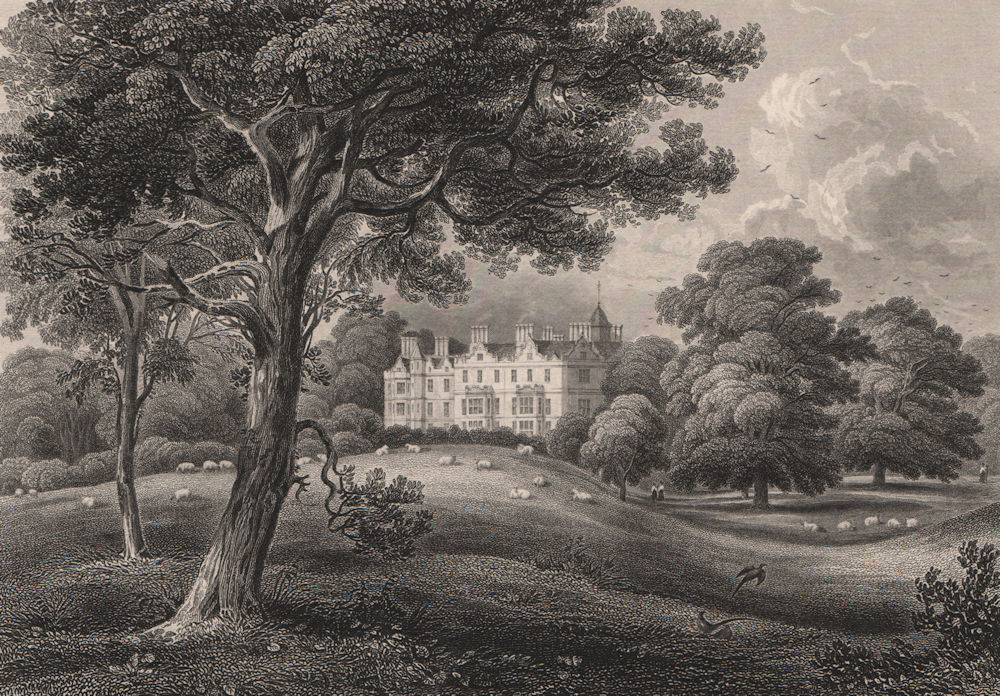 St. Fort House & Estate, Fife. Scotland 1845 old antique vintage print picture