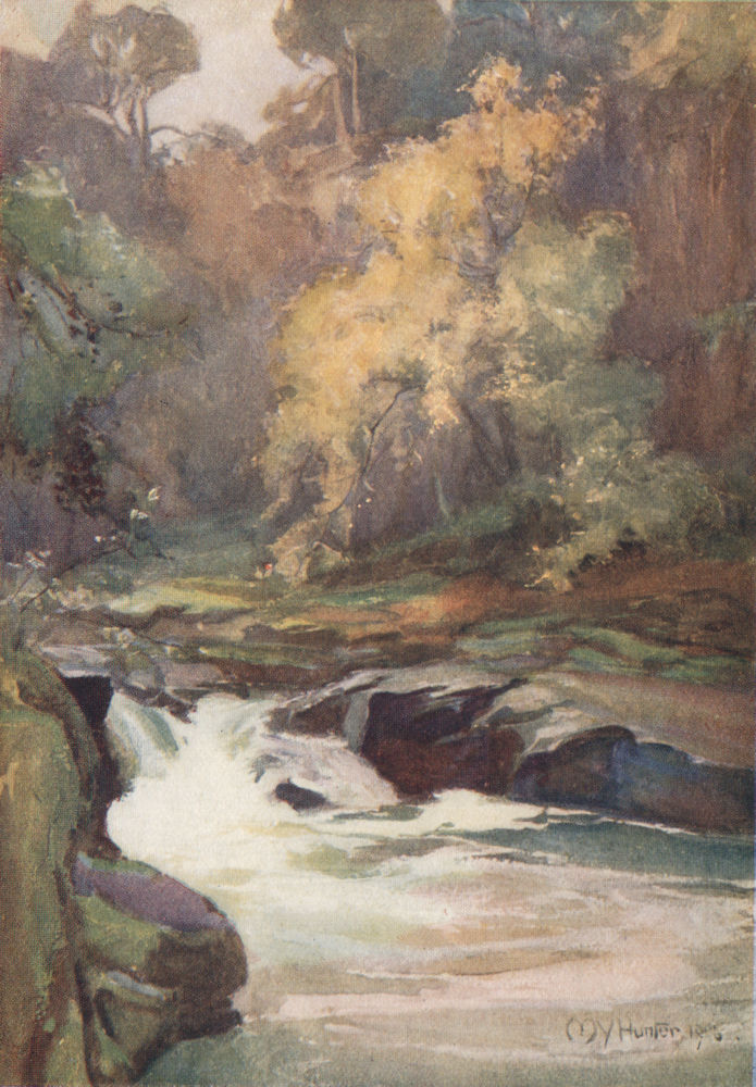 'The Brink of Corra Linn' by John & Mary Young-Hunter 1907 FALLS OF CLYDE 
