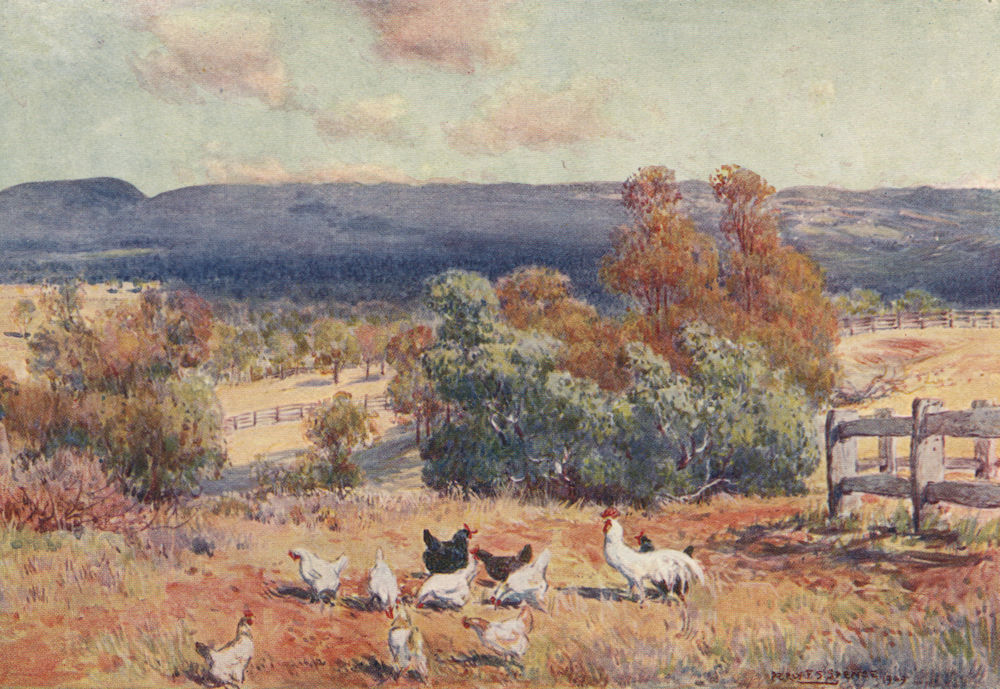 Associate Product 'The Kurrajong Heights, N.S.W' by Percy Spence. Australia 1910 old print