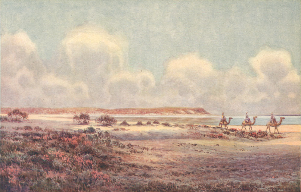 Associate Product 'Lake Hart, one of the salt lakes of central Australia' by Percy Spence 1910