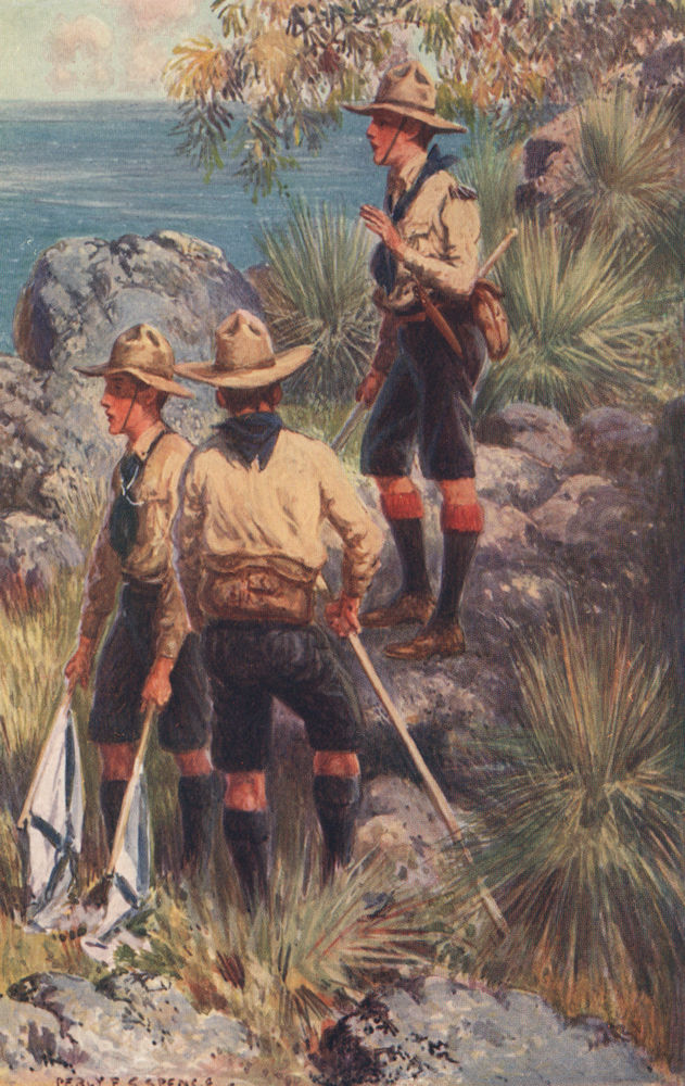 'Boy scouts in Australia' by Percy Spence. Australia 1910 old antique print