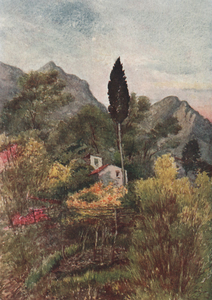 Associate Product MENTON. 'In the Borrigo Valley, Mentone' by William Scott. Alpes-Maritimes 1907