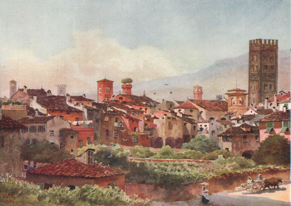 'Lucca from the City, Walls' by William Wiehe Collins. Italy 1911 old print