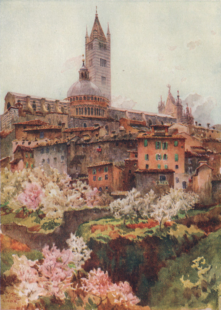 Associate Product SIENA. 'The Cathedral, Siena' by William Wiehe Collins. Italy 1911 old print