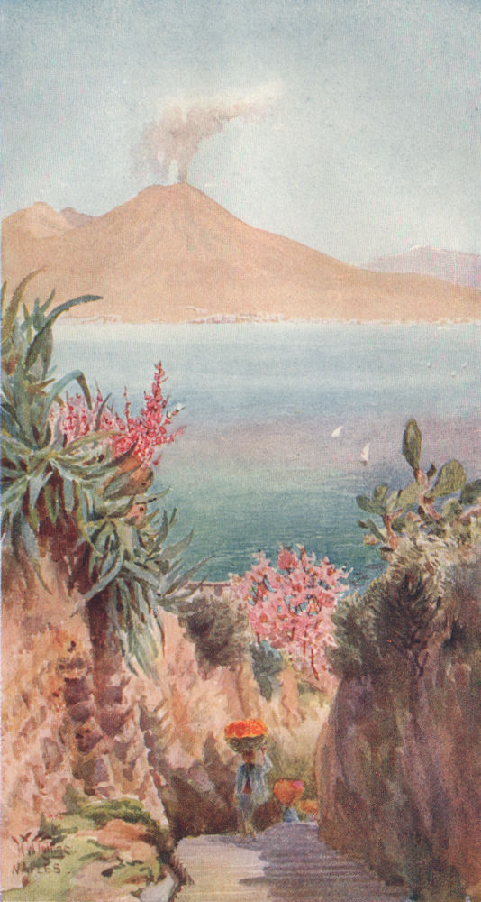 Associate Product NAPOLI. 'The Bay of Naples from Posillipo' by William Wiehe Collins. Italy 1911