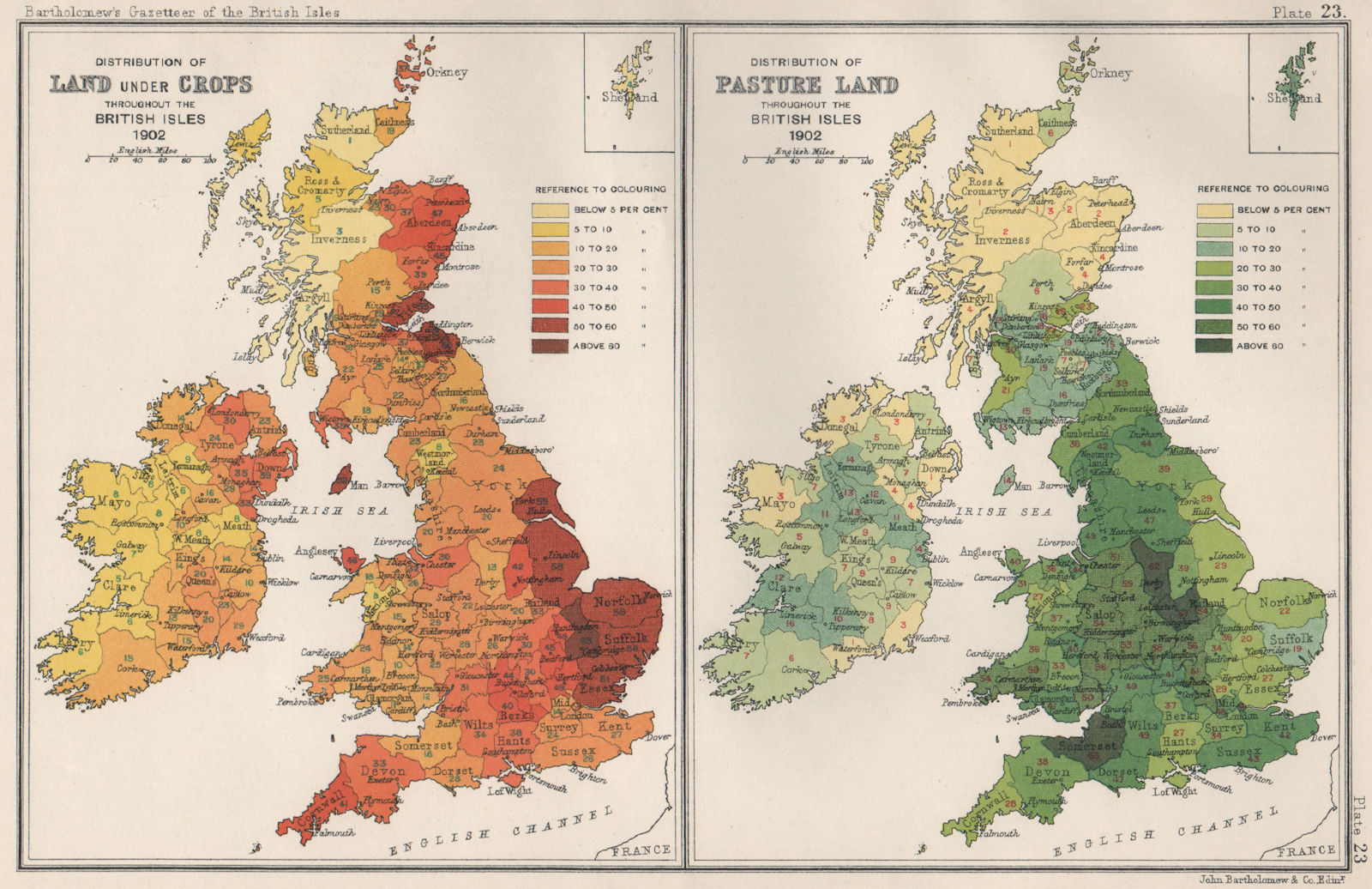 Associate Product BRITISH ISLES AGRICULTURAL. Land under Crops/Pasture Land. BARTHOLOMEW 1904 map
