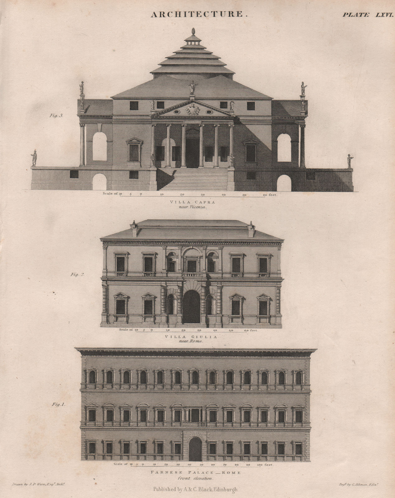 Associate Product Architecture. Farnese Palace, Rome. Villa Giulia. Villa Capra, Vicenza 1860