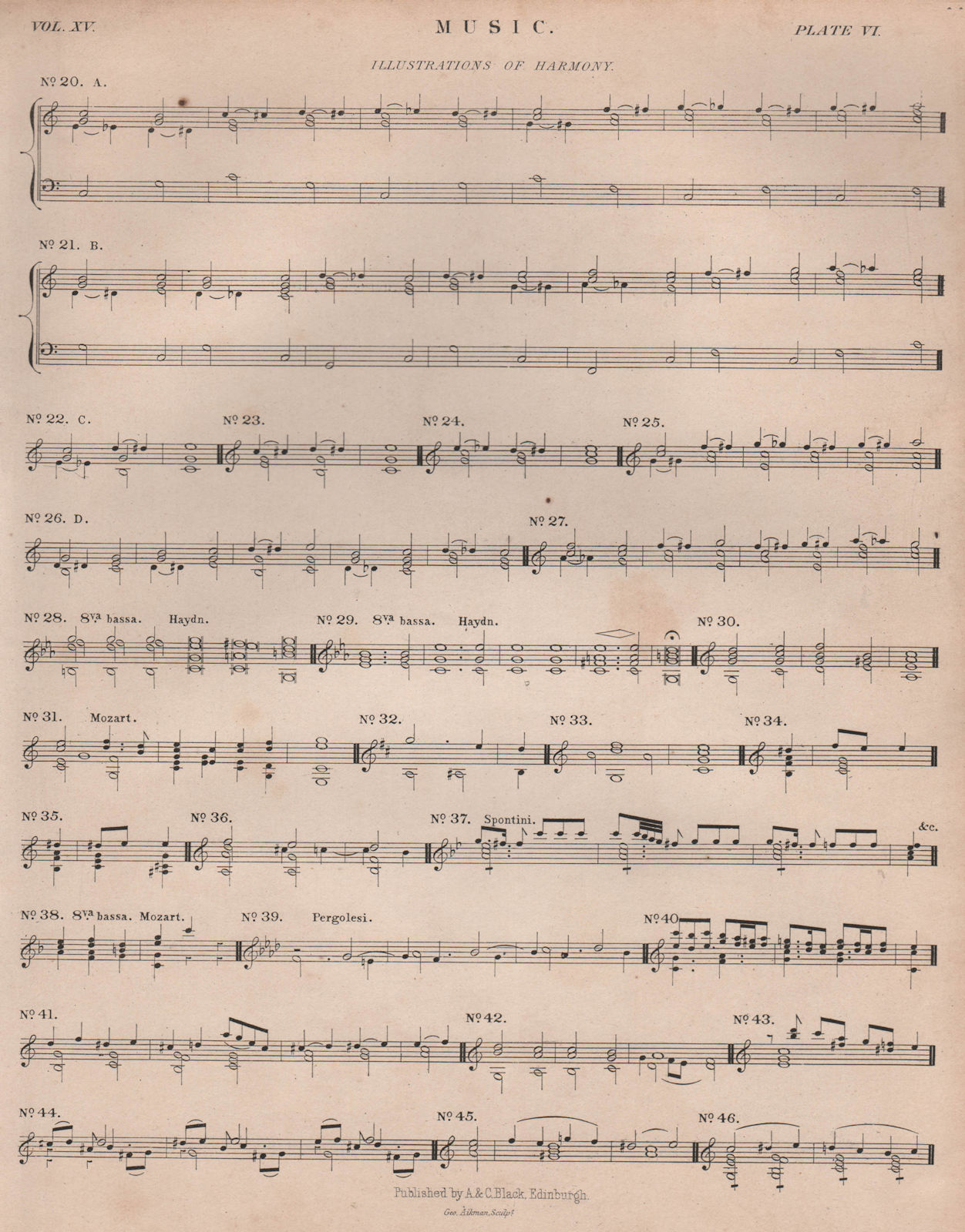 Music. Illustrations of Harmony. Haydn Mozart Pergolesi. BRITANNICA 1860 print